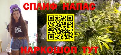дмт Краснознаменск